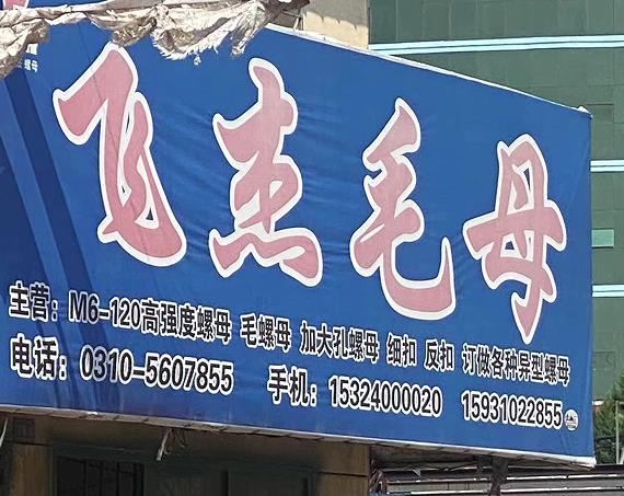飞杰毛母