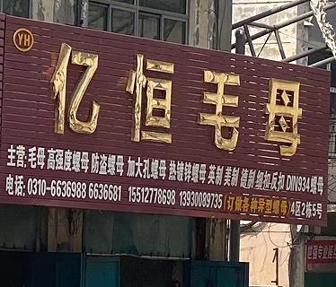 亿恒毛母