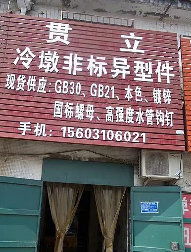 贯立冷镦非标异型件
