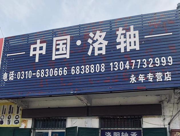 中国洛轴